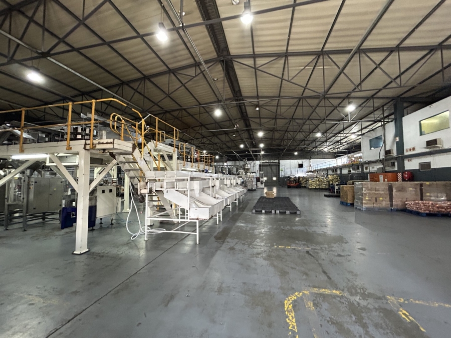 To Let commercial Property for Rent in Epping Industrial Western Cape